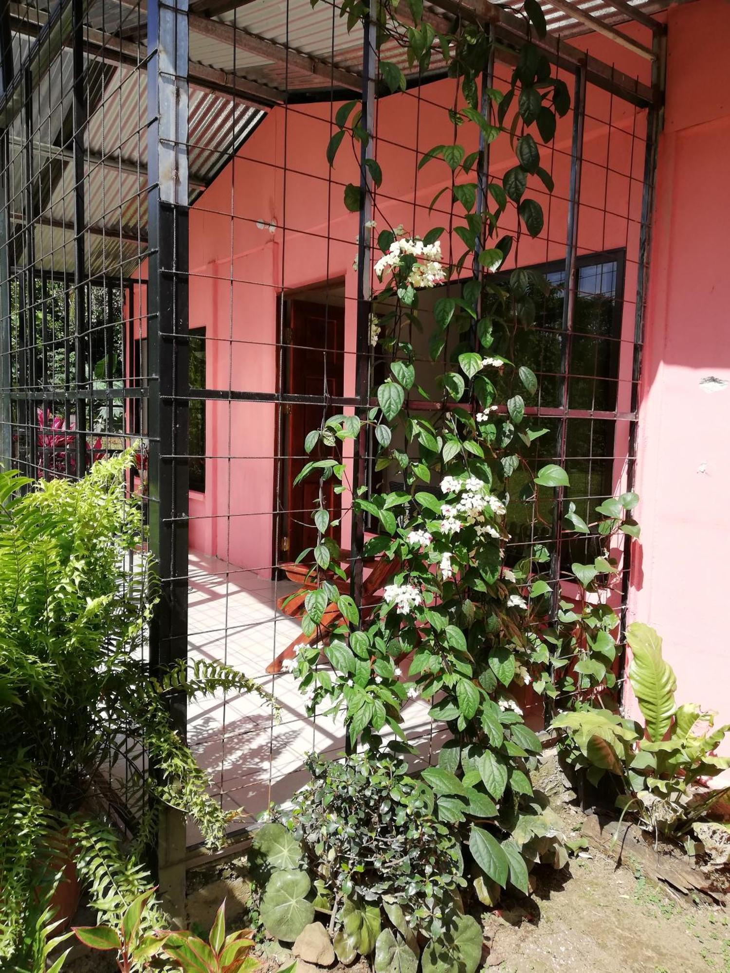 Paraiso Verde Siqurres Da Alegria Exterior foto