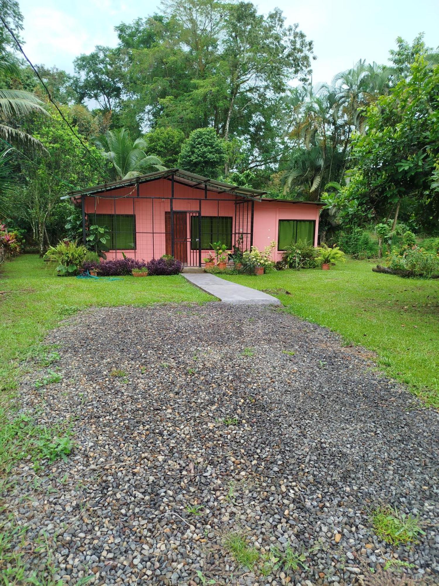 Paraiso Verde Siqurres Da Alegria Zimmer foto
